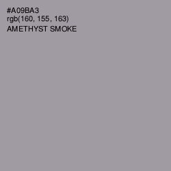 #A09BA3 - Amethyst Smoke Color Image